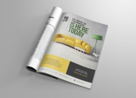 Magazine Advertisement Design